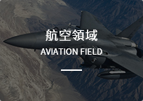 航空領域